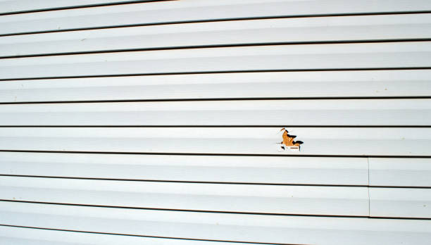 Best Engineered Wood Siding  in Greenbriar, VA