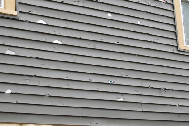 Affordable siding repair and maintenance services in Greenbriar, VA