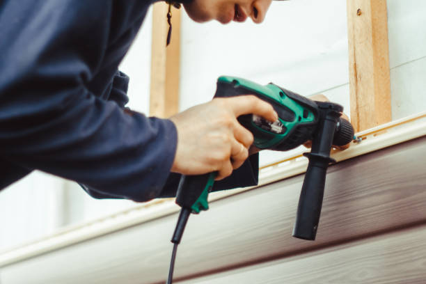 Best Custom Siding Design  in Greenbriar, VA